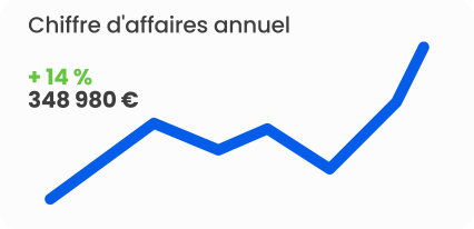 Chiffre d'affaires - Agence de marketing digital Scalus